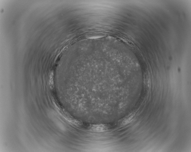 X0000053060127200508081204