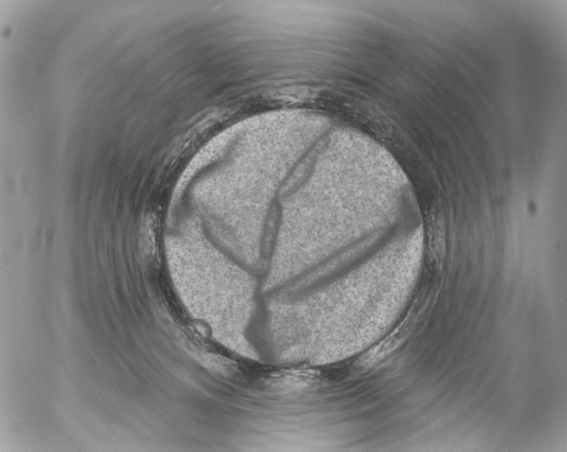 X0000053060128200508081204