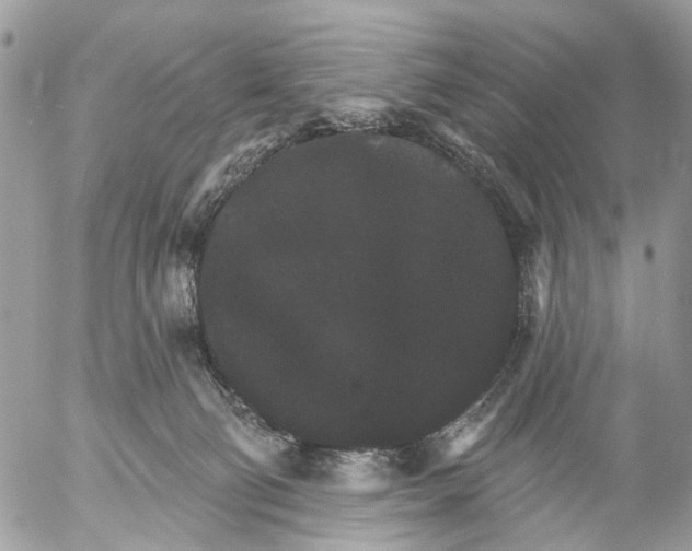 X0000053060130200508081204