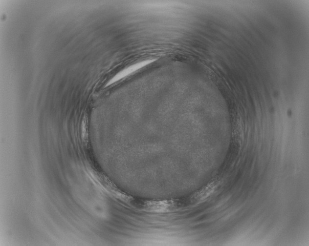 X0000053060131200508081204