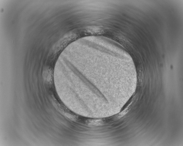 X0000053060132200508081204