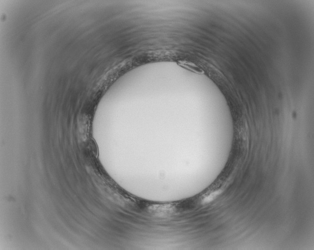 X0000053060133200508081204