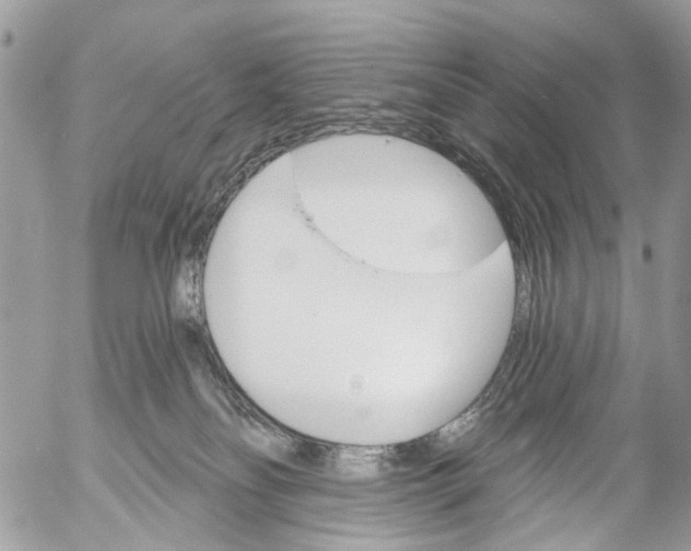 X0000053060134200508081204