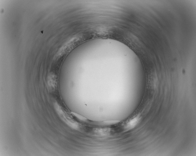 X0000053060135200508081204