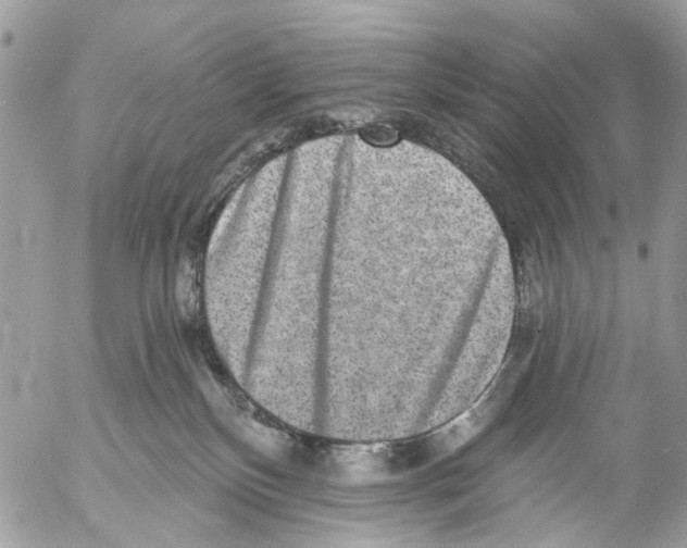 X0000053060136200508081204