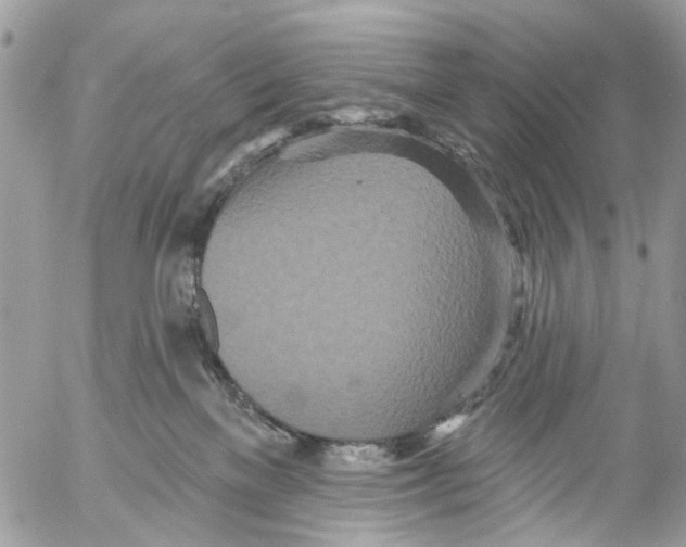 X0000053060137200508081204