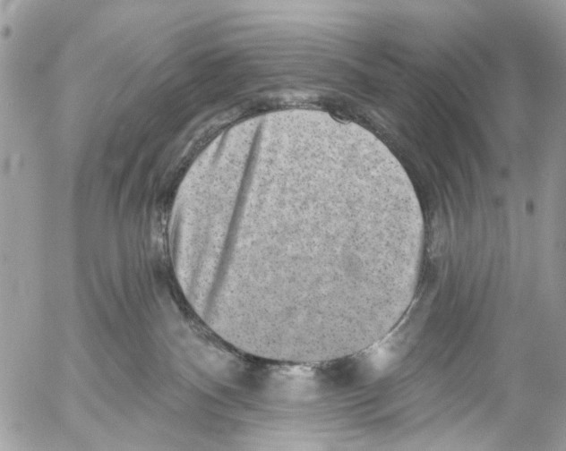 X0000053060140200508081204