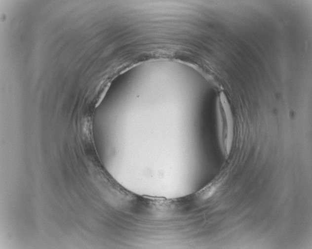 X0000053060141200508081203