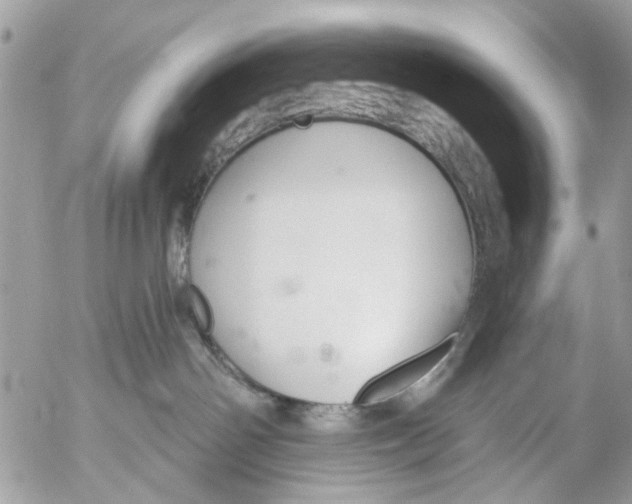 X0000053060142200508081203