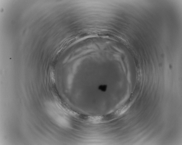 X0000053060143200508081203