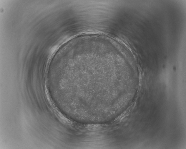 X0000053060145200508081203