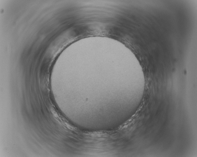 X0000053060146200508081203