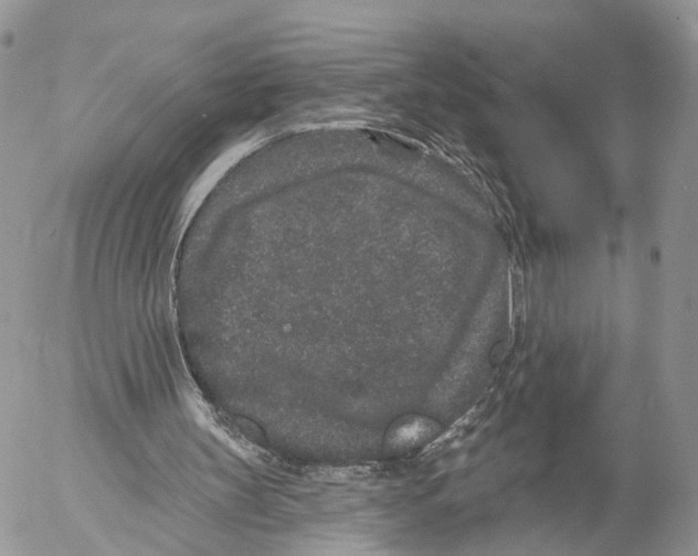 X0000053060147200508081203