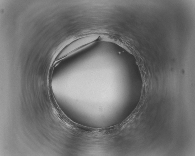 X0000053060148200508081203