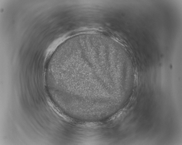 X0000053060149200508081203