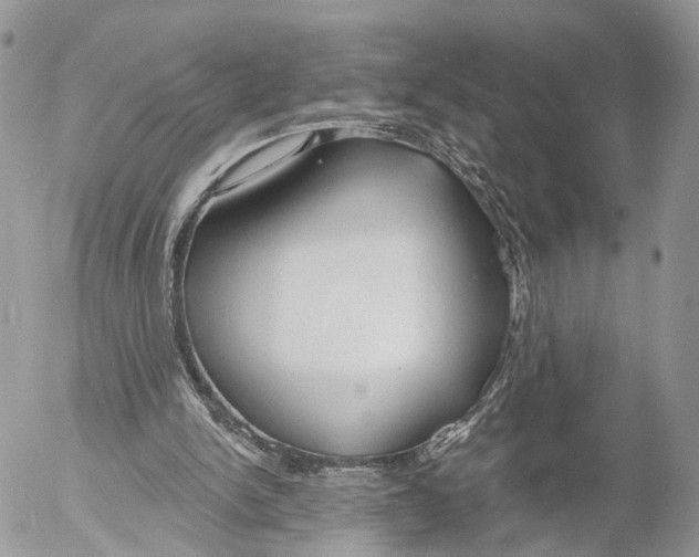 X0000053060150200508081203