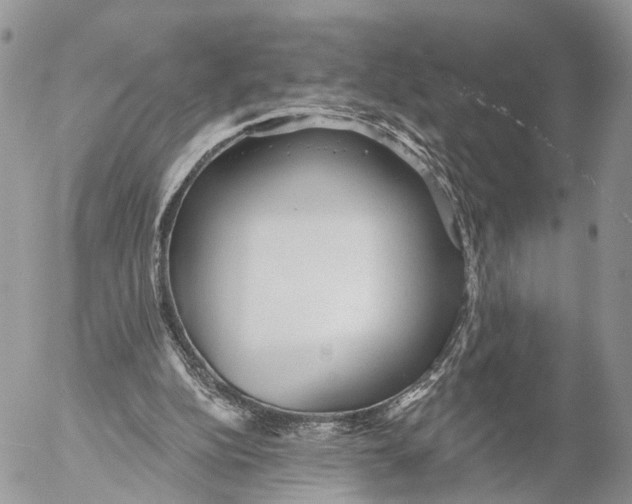 X0000053060152200508081203