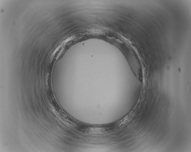 X0000053060154200508081203