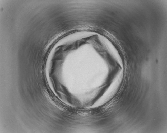 X0000053060155200508081203