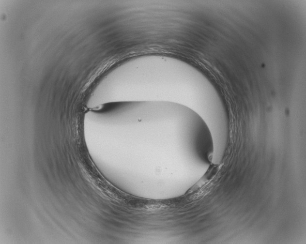 X0000053060158200508081203