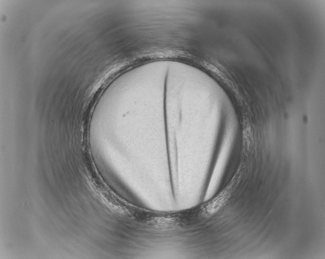 X0000053060159200508081203