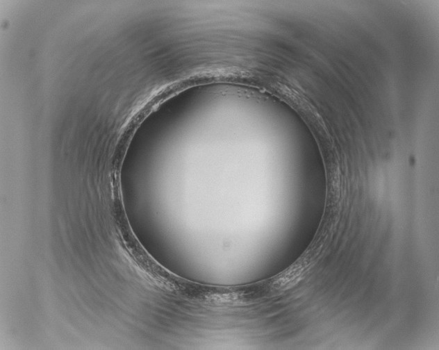 X0000053060160200508081203