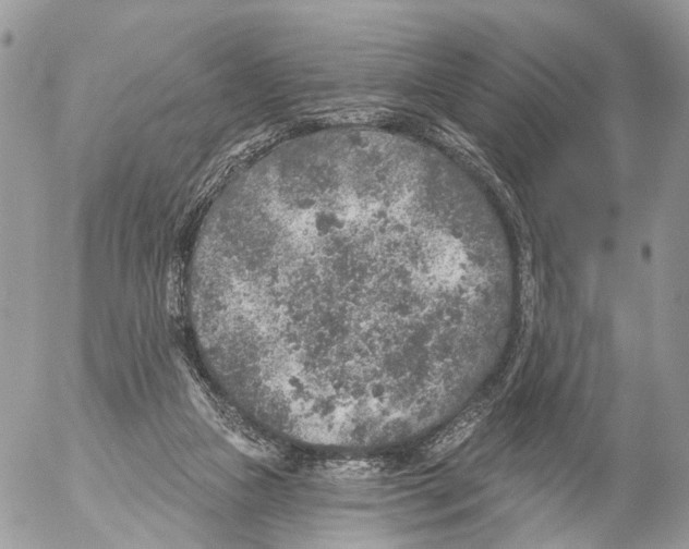 X0000053060161200508081203