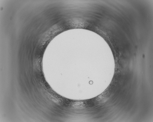 X0000053060162200508081203