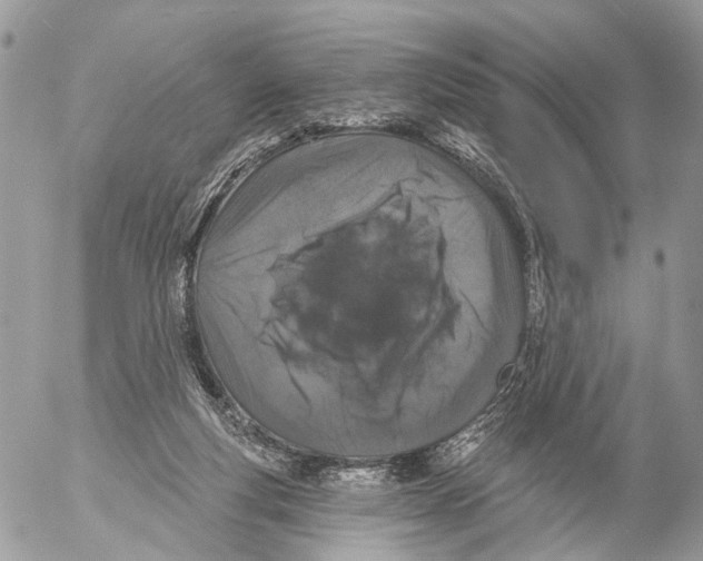 X0000053060163200508081203