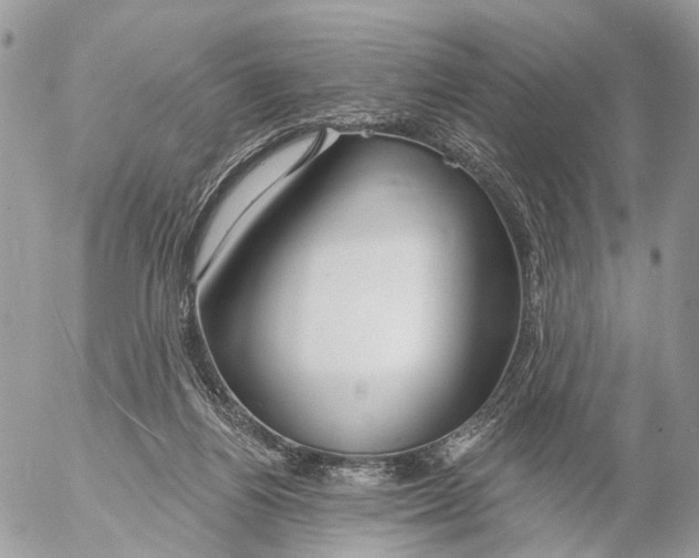 X0000053060164200508081203