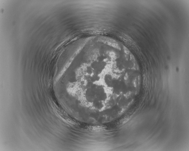 X0000053060165200508081203