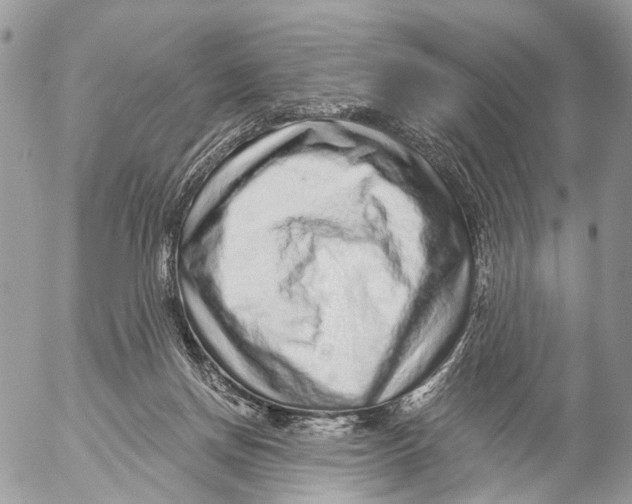 X0000053060166200508081203