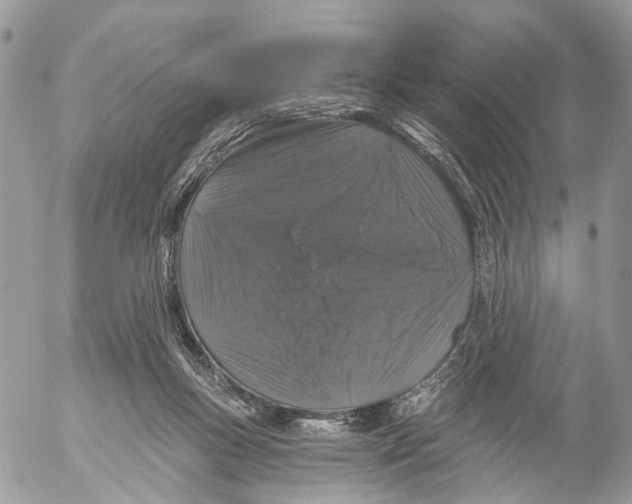 X0000053060167200508081203