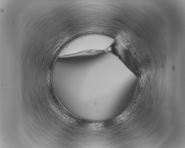 X0000053060168200508081203