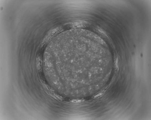 X0000053060169200508081203