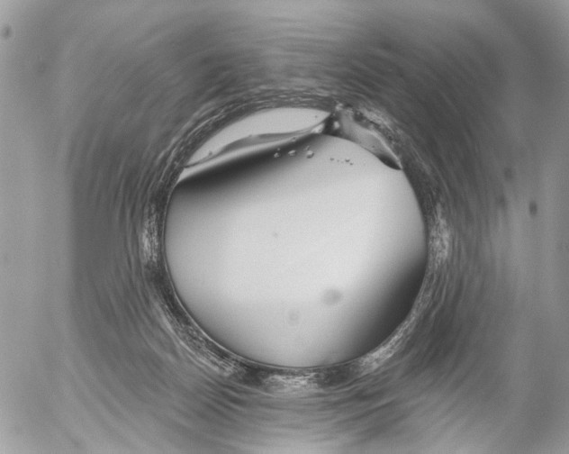 X0000053060170200508081203