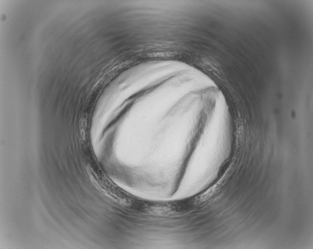 X0000053060171200508081203