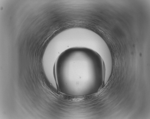 X0000053060172200508081203