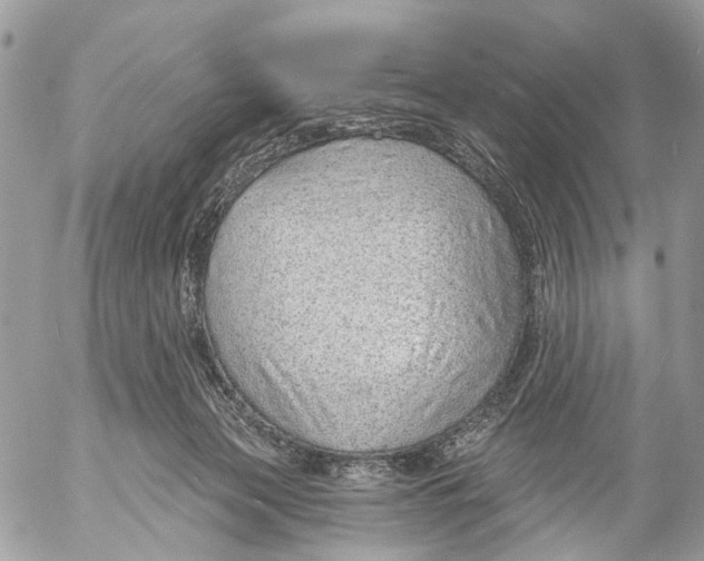 X0000053060173200508081203