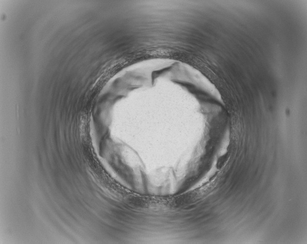 X0000053060175200508081203