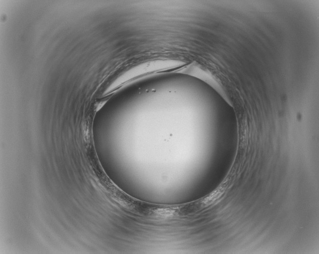 X0000053060176200508081203