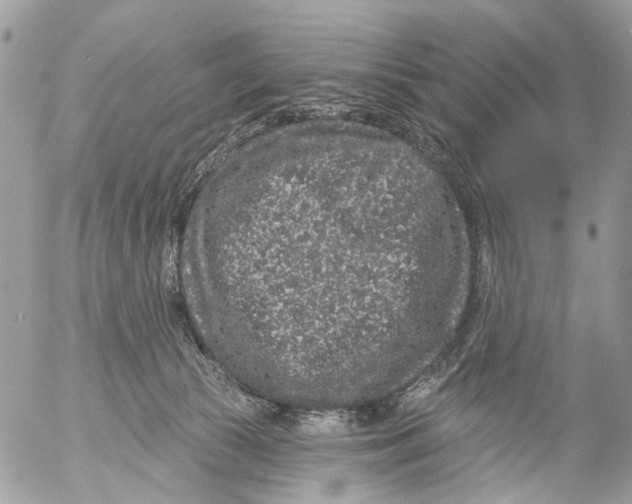 X0000053060177200508081203