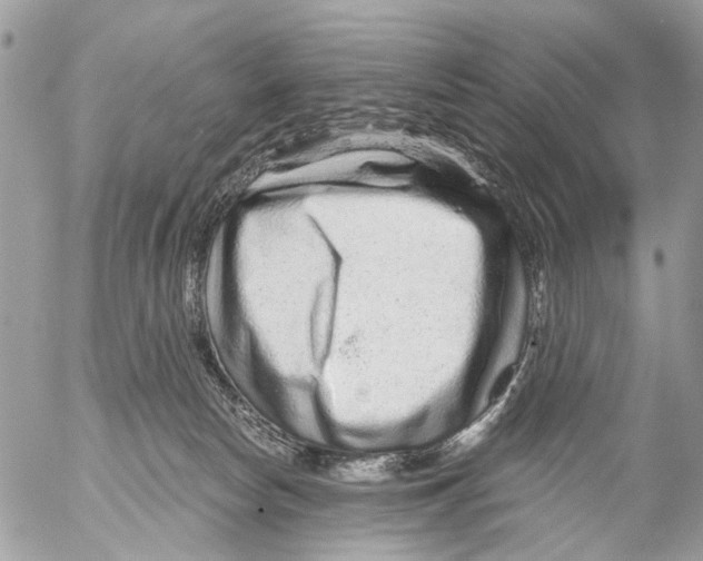 X0000053060178200508081203