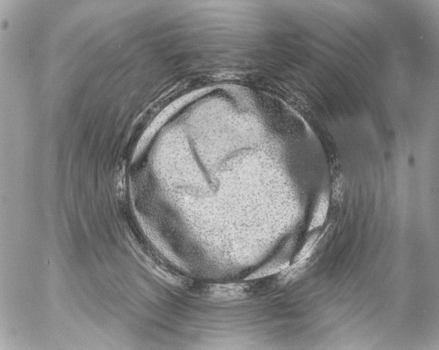 X0000053060179200508081203