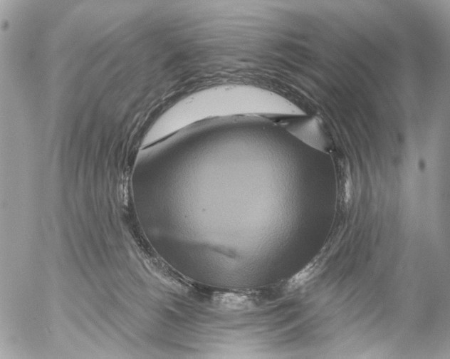 X0000053060180200508081203