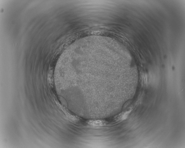 X0000053060181200508081203