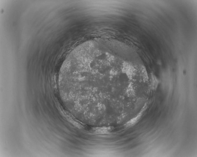 X0000053060182200508081203