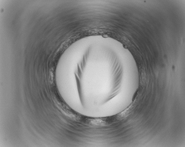 X0000053060183200508081203