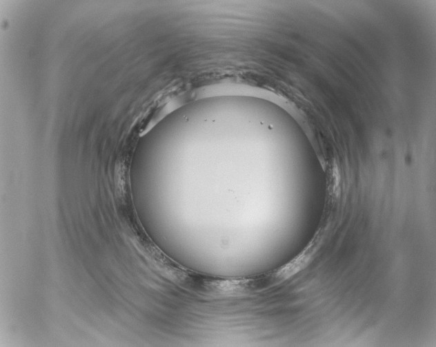 X0000053060184200508081203