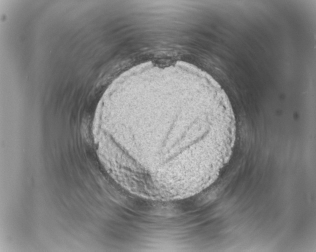 X0000053060185200508081203